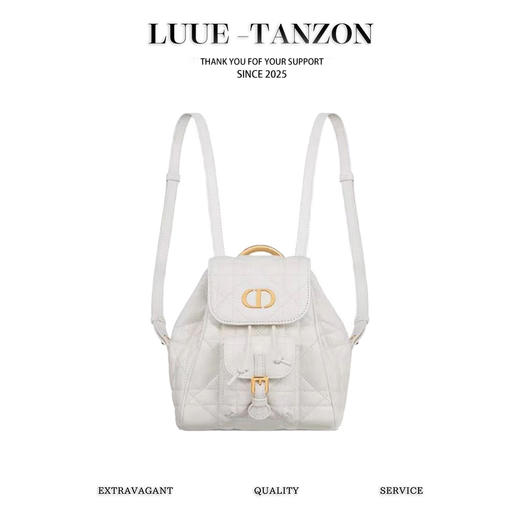 迪奥 Caro秋冬系列小号双肩包 (LZ) 商品图0