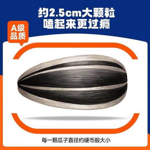 徽记金刚葵原香瓜子 葵花籽99g 商品图2