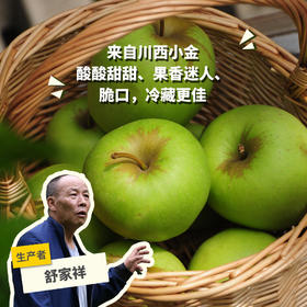 生态小金青苹果 | 合作生产 *Ecological green apple | Partner Production