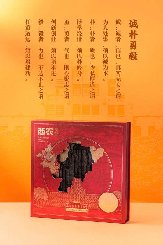 西农茯茶 商品图4