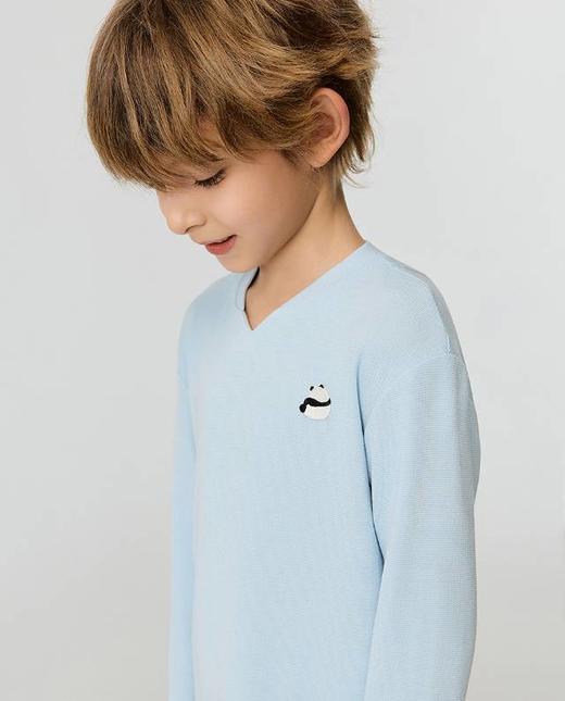 【春上新】8楼爱慕儿童Aimer Kids男孩奶皮贴贴套头长袖睡衣AK241J511，吊牌价359元 商品图3