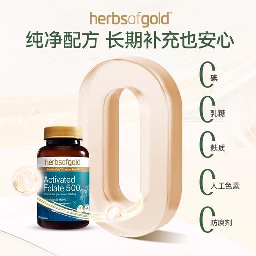 Herbs of Gold和丽康活性叶酸500mcg60粒（28.3） 商品图3