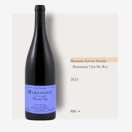 Sylvain Pataille Marsannay Clos du Roy 2023西尔万帕塔乐酒庄马沙内村罗伊园干红2023 商品图0