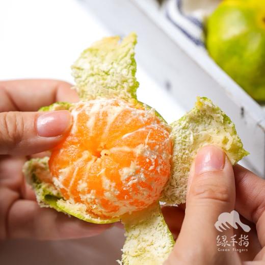 生态早蜜橘 | 合作生产*Ecological honey orange | Partner Production 商品图2