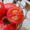攀枝花米易高山口感番茄（西红柿）【顺丰发货】 商品缩略图2