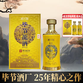 毕节 龙酒 酱香型 53度 500ml