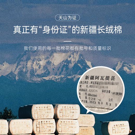 十如仕100%新疆长绒棉经典免烫长袖衬衫-301-04 商品图10