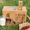 巴音楼兰  纯牛奶 商品缩略图2