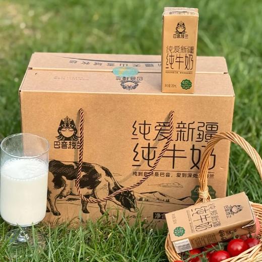 巴音楼兰  纯牛奶 商品图2