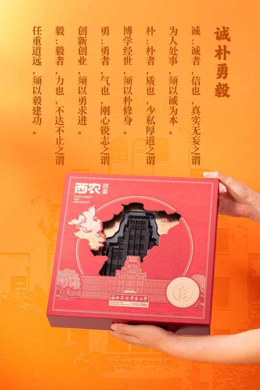 西农茯茶 商品图3