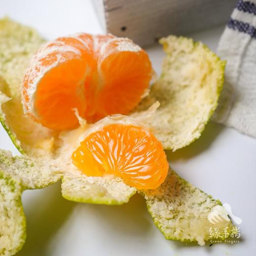 生态早蜜橘 | 合作生产*Ecological honey orange | Partner Production 商品图1