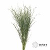 叶材 | 柳叶星河 商品缩略图0