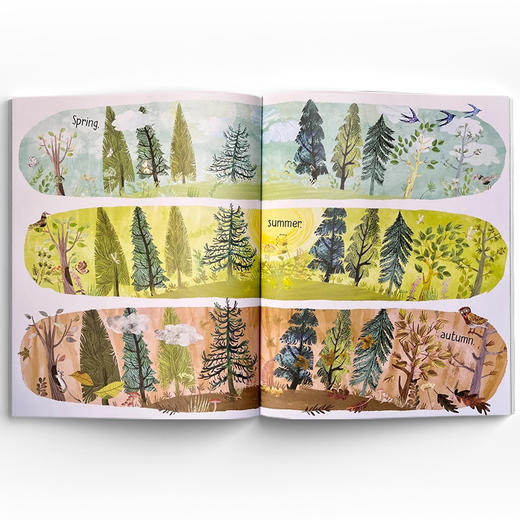 Seasons of Wonder 自然的光与诗 商品图4