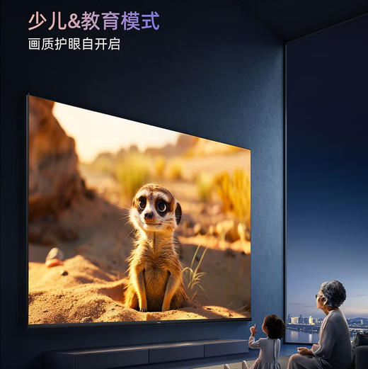 海信（Hisense）电视 100D50QD 商品图7