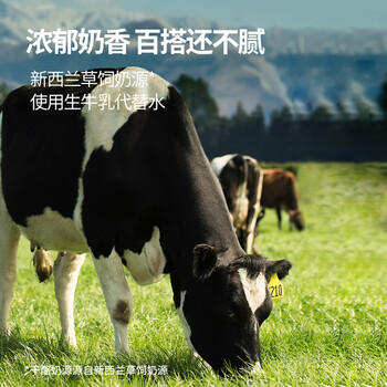 奶酪博士（Dr.Cheese）减盐奶酪片芝士片83g*4袋 ≥81%干酪 高钙高蛋白 早餐烘焙原料  /粮油调味 /奶酪黄油 /奶酪/奶酪制品 商品图0