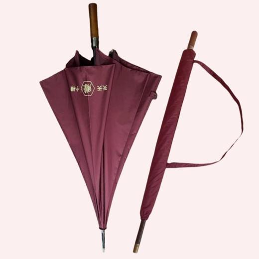 【积分兑换】雨伞 藤桥牌周边 天天小赚 商品图1