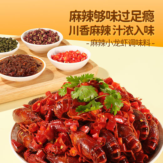 三只松鼠 围裙阿姨 _小龙虾蒜蓉/麻辣/十三香调味料200g 商品图4