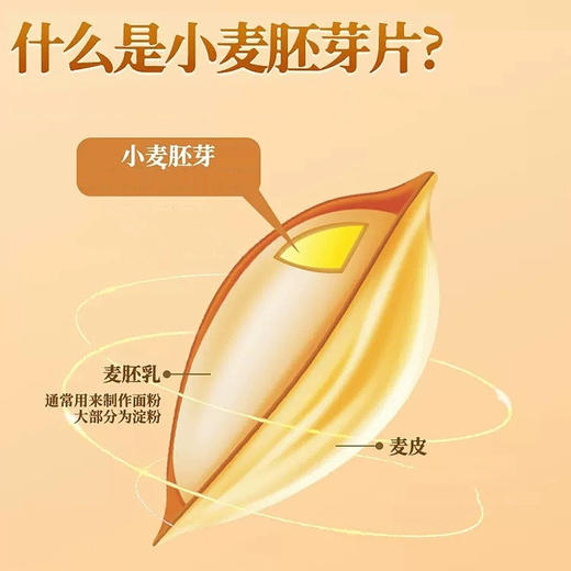 小麦胚芽 即食原味900克大桶早餐代餐健康粗粮 900g/罐 商品图1