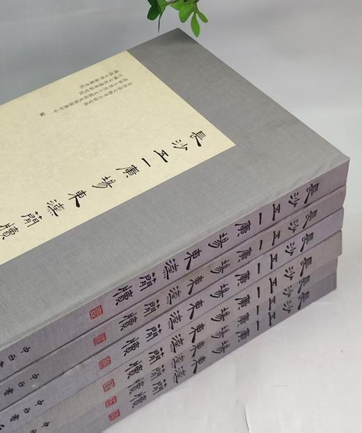 《长沙五一广场东汉简牍》（1-6全6册），精装8开，长沙市文物考古研究所 编，中西书局，2018-2020年出版，单本定价：900，总定价：5400，售价：1750。9品。 商品图2