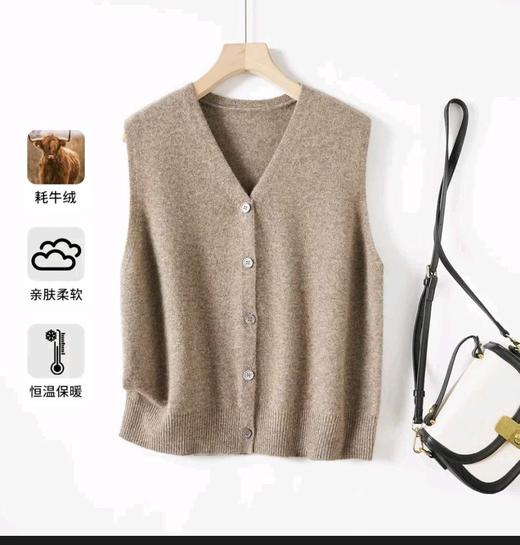 ZL女士时尚轻奢高端牛绒马甲0821 商品图0