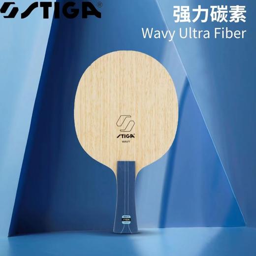 STIGA 斯帝卡 强力碳素 乒乓球底板 国球汇 商品图3