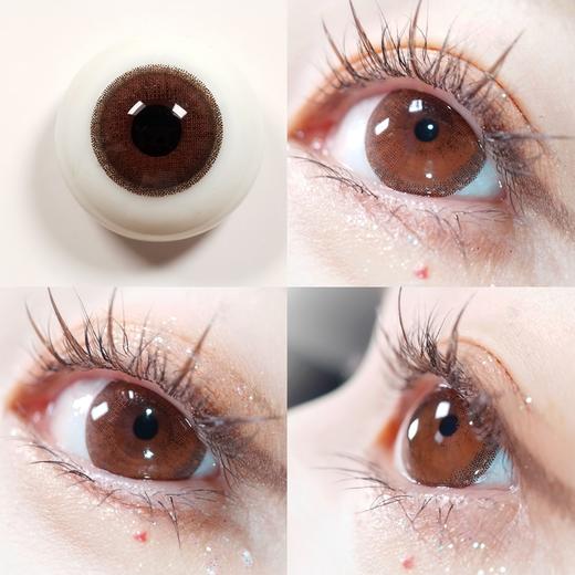 尤加利巧【年抛】 商品图0