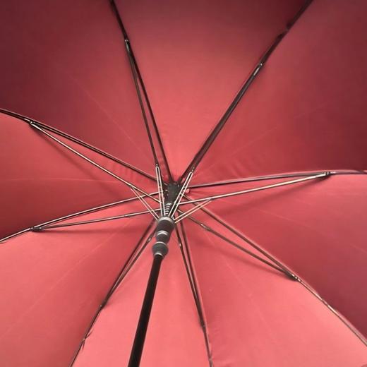 【积分兑换】雨伞 藤桥牌周边 天天小赚 商品图3