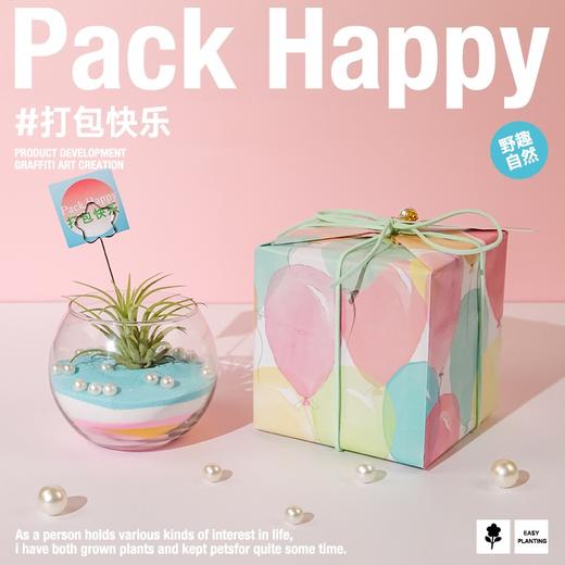 涂鸦造物办公室桌面绿植生日礼物教师节礼DIY空气凤梨 商品图0