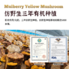 长白山三年有机桑黄30g/盒分装版 商品缩略图1