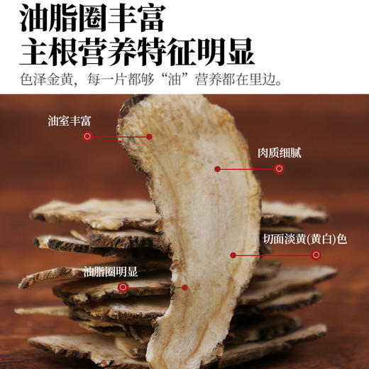 人民食品 有机当归60g 商品图2