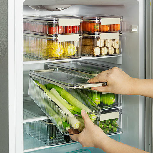摩登主妇冰箱用收纳盒葱姜蒜整理盒食品级厨房专用备菜神器保鲜盒 商品图1