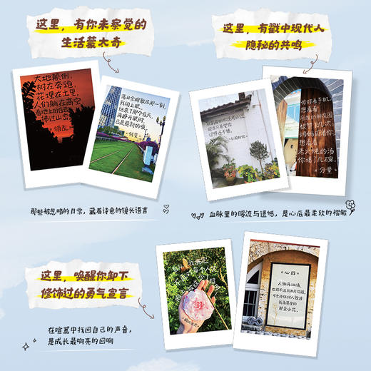 在生活的角落写下诗歌 生活诗歌情感共鸣绘本图册 文学哲理感悟情文艺解压温暖心灵 简短小诗 商品图3
