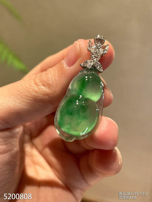 高冰种飘翠福豆吊坠【5200808】具体价格微信咨询 商品图2
