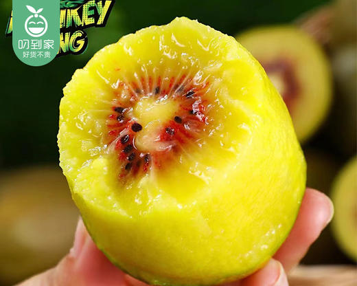 滇猴王即食工艺红心猕猴桃大果礼盒原箱 （12盒/箱 单盒400g±10g 4颗） 商品图1