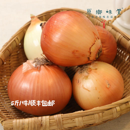 阿拉善生态洋葱（农场直发-顺丰包邮）| 5斤/件，来自内蒙古阿拉善大漠，生产者：马彦伟【合作生产，公平贸易】 商品图8