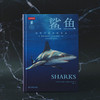 《鲨鱼：鲨鱼为什么是天生猎手？》普林斯顿大学生物图鉴系列  海洋生物 科普-分销 商品缩略图5