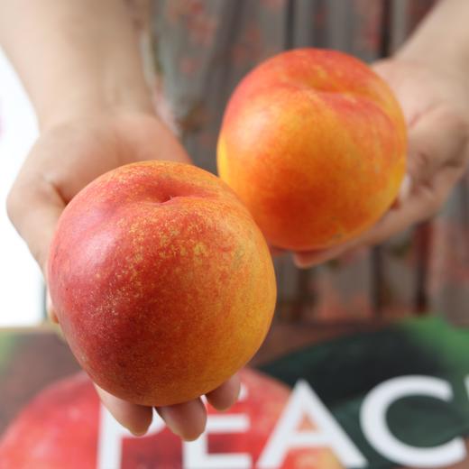 新疆秋蜜黄油桃4斤礼盒装 商品图2