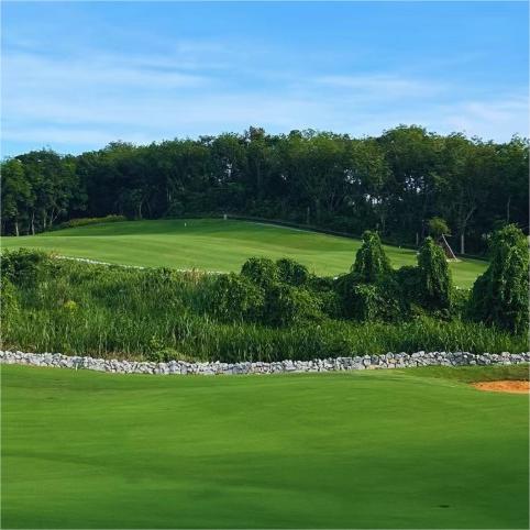 海南万宁·兴隆橡树林高尔夫俱乐部 Oak Forest Golf Club |  万宁高尔夫球场 | 海南高尔夫球场俱乐部 | 中国 商品图4