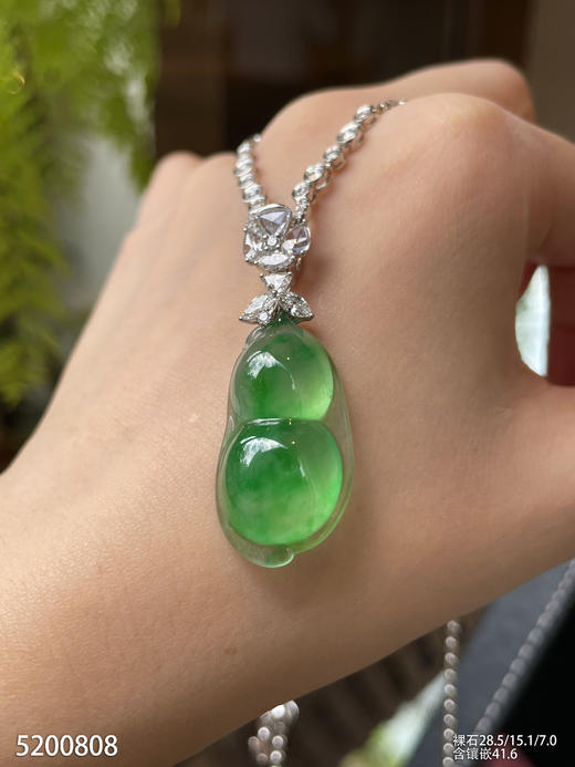 高冰种飘翠福豆吊坠【5200808】具体价格微信咨询 商品图3