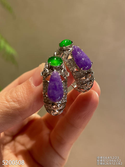 艳紫罗兰福豆耳扣【5200508】具体价格微信咨询 商品图1