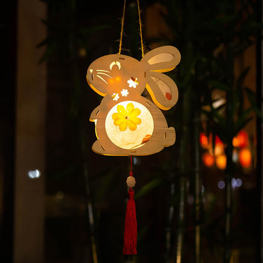 【9.9速抢❗️手提古风花灯】古风DIY花草灯，非遗纯手工制作，真实花瓣融入纸浆，植物镶嵌质感满满，古风汉服配饰，儿童手提diy材料包花草灯笼L 商品图3