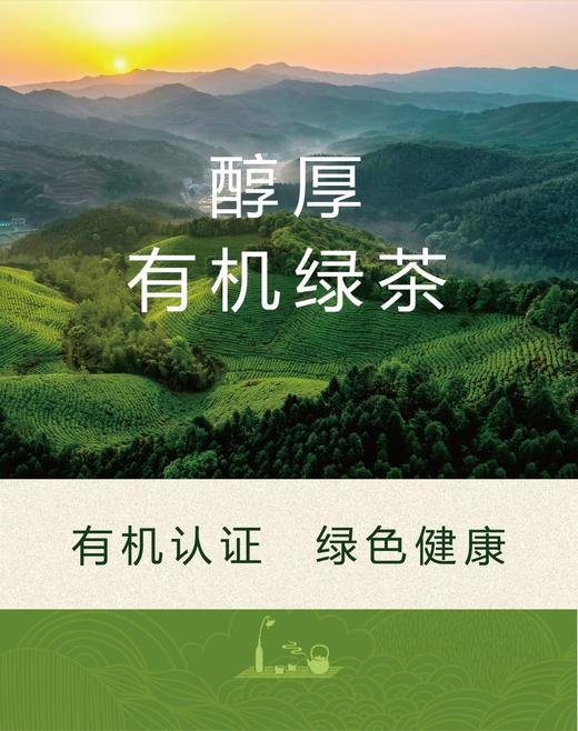 小从峰有机绿茶 2025新茶有机茶原生态茶100g袋装 商品图3