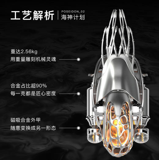 极械 鹦鹉螺 金属艺术品拼装摆件 成品板 商品图5