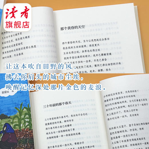 《田野里吹来的风：田鼠大婶的散文诗》 裴爱民/著 散文诗集 读者出版社 商品图7