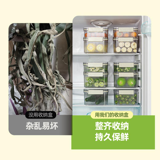 摩登主妇冰箱用收纳盒葱姜蒜整理盒食品级厨房专用备菜神器保鲜盒 商品图2