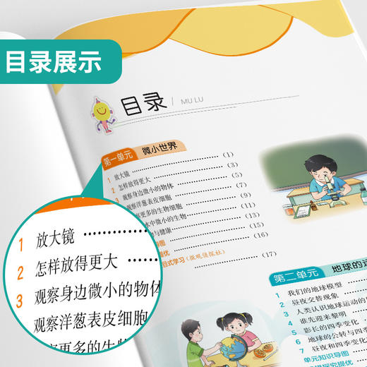 2025秋 【教科版】  六年级科学(上)  实验班提优训练 商品图2