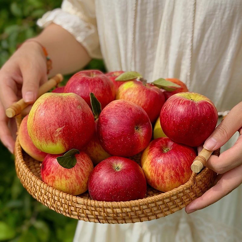 云南高原臻品红玛瑙苹果