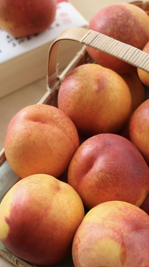 新疆秋蜜黄油桃单价 商品图0