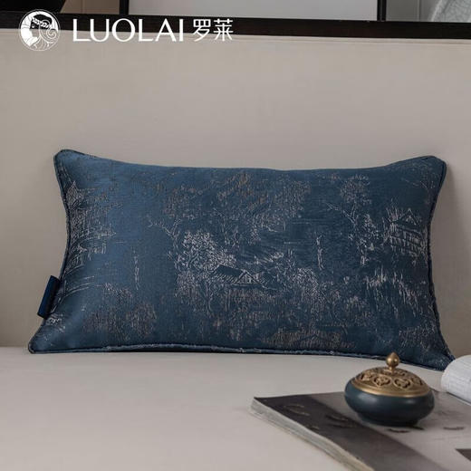 罗莱软装-氤氲抱枕 45*45 商品图2