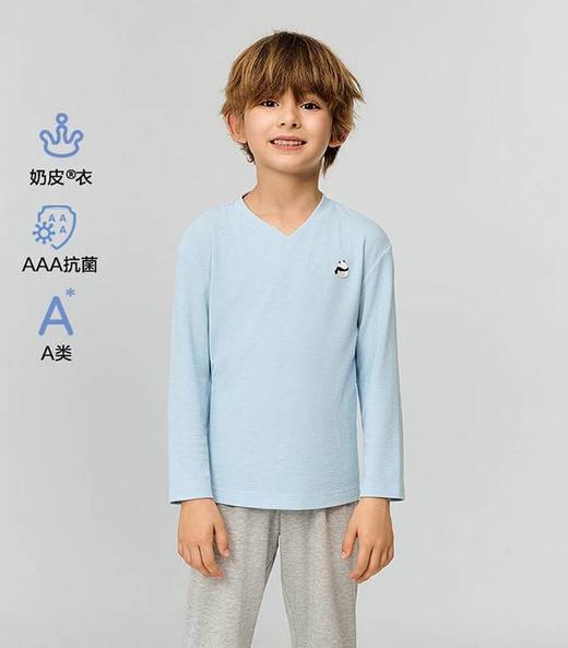【春上新】8楼爱慕儿童Aimer Kids男孩奶皮贴贴套头长袖睡衣AK241J511，吊牌价359元 商品图0